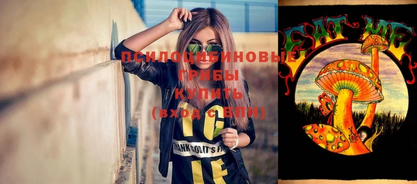круглые Алзамай
